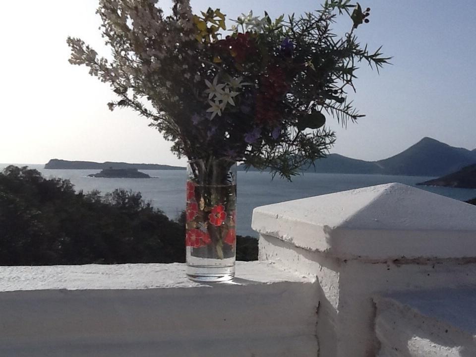 Villa Mirista Luštica Δωμάτιο φωτογραφία
