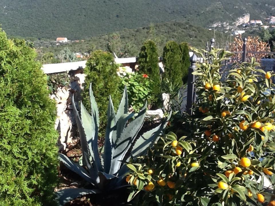 Villa Mirista Luštica Δωμάτιο φωτογραφία