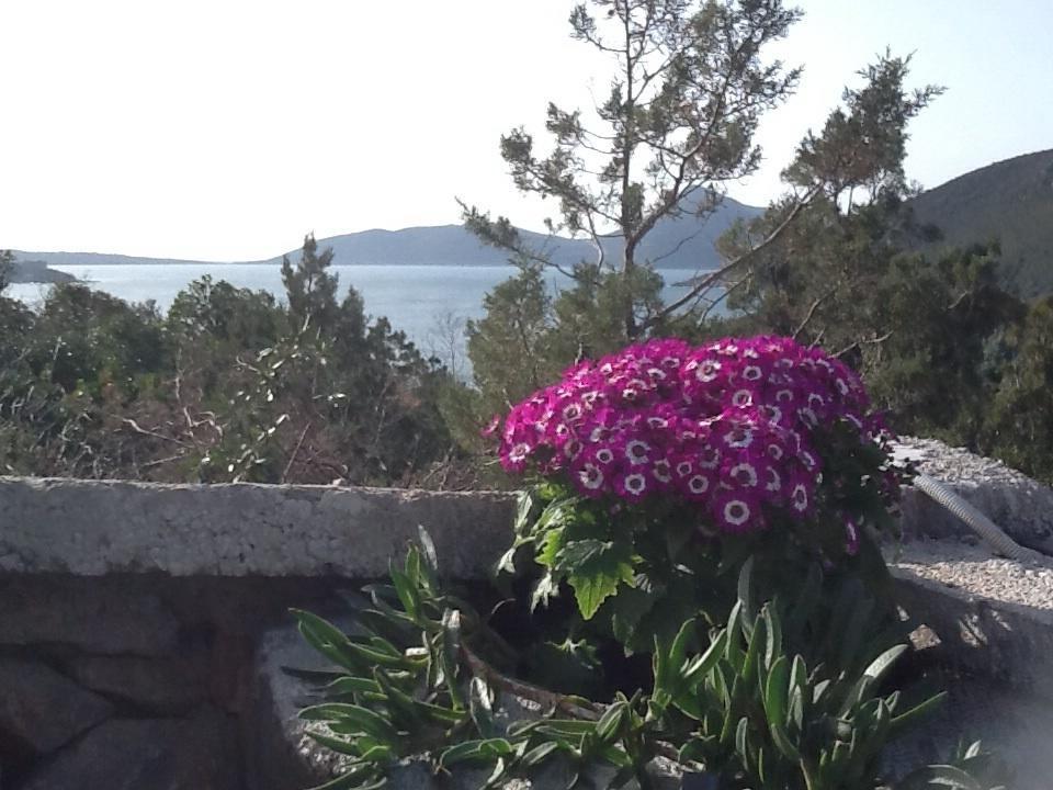 Villa Mirista Luštica Δωμάτιο φωτογραφία